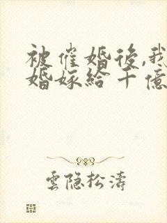 被催婚后,我闪婚嫁给千亿大佬完结版