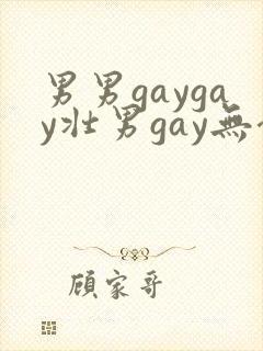 男男gaygay壮男gay无套