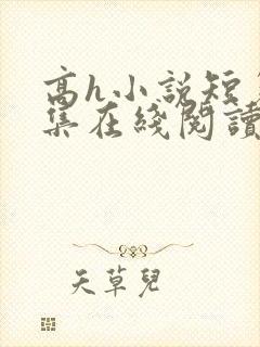 高h小说短篇合集在线阅读