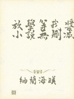 放学等我酱子贝小说无删减正版在线阅读封面