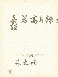 长篇高h辣文小说封面