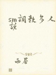 sm调教多人小说