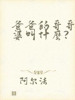 爸爸的哥哥的老婆叫什么?