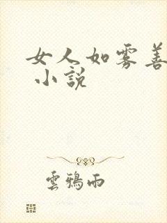 女人如雾善恶图 小说