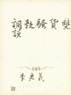 调教骚货双性小说封面