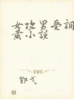 女攻男受调教高黄小说封面