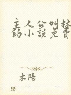 主人公叫林不悔的小说免费阅读