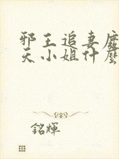 邪王追妻废材逆天小姐什么时候写的