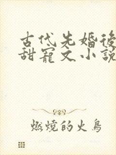 古代先婚后爱的甜宠文小说