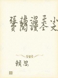 张扬温柔小说免费阅读全文封面