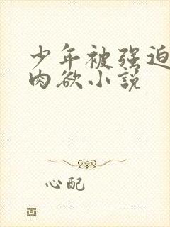 少年被强迫侵犯肉欲小说
