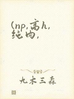 (np,高h,纯肉,