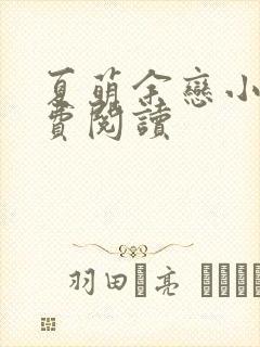 夏萌余恋小说免费阅读