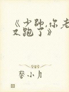 《少帅,你老婆又跑了》