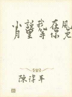 小说我在风花雪月里等你免费下载