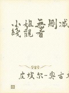 小姐无删减版在线观看