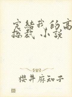 完结我的高冷女总裁 小说封面