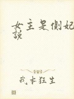 女主是侧妃的小说