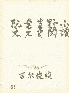 阮棠肖野小说全文免费阅读