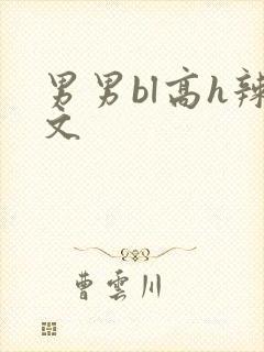 男男bl高h辣文封面