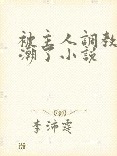 被主人调教到高潮了小说