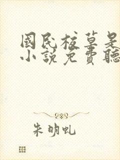 国民校草是女生小说免费听书