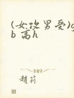 (女攻男受)gb 高h