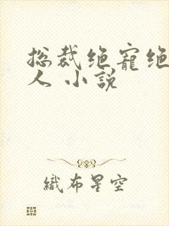 总裁绝宠绝色佳人 小说封面