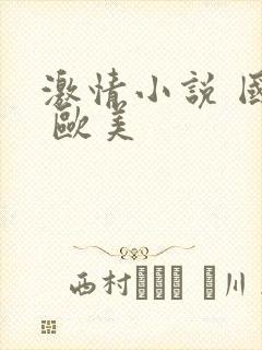 激情小说 国产 欧美