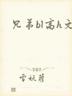 兄弟bl高h文封面