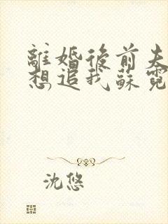 离婚后前夫总是想追我苏霓嘉