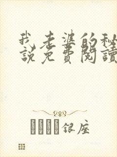 我老婆的秘密小说免费阅读