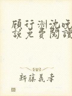 顾行洲沈晚宁小说免费阅读最新章节