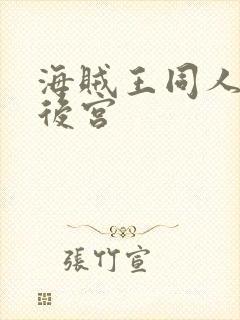 海贼王同人小说后宫