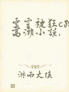 云霄被狂c躁到高潮小说,