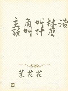 主角叫林浩的小说叫什么