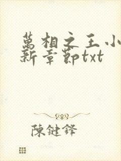 万相之王小说最新章节txt