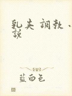 乳夹 调教 小说封面