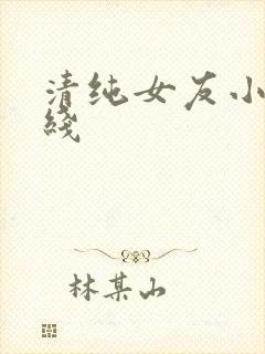 清纯女友小说在线