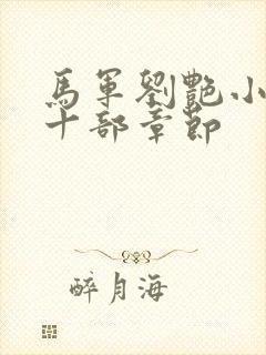 马军刘艳小说第十部章节