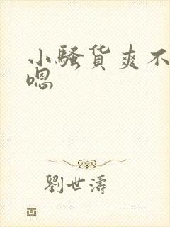 小骚货爽不爽嗯嗯