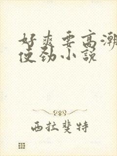 好爽要高潮了快使劲小说