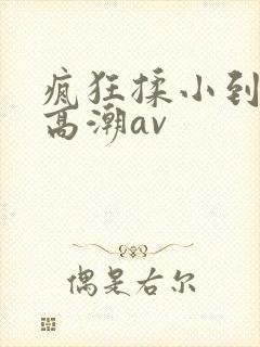 疯狂揉小到失禁高潮av