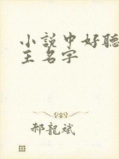小说中好听的女主名字封面