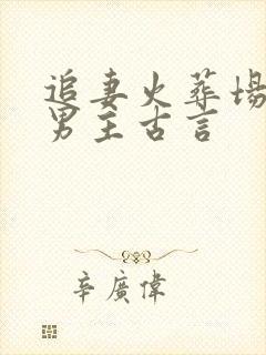 追妻火葬场狂虐男主古言