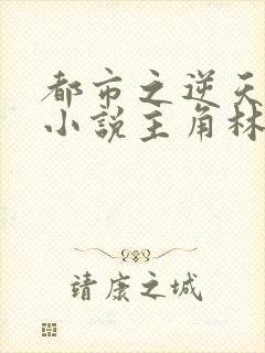 都市之逆天仙尊小说主角林凡