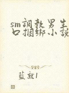 sm调教男生重口捆绑小说