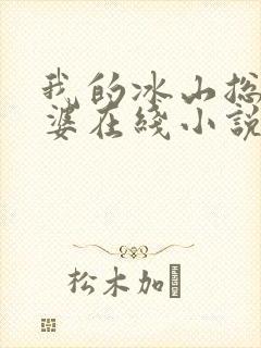 我的冰山总裁老婆在线小说