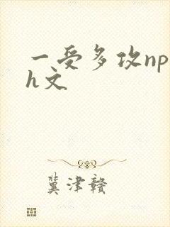 一受多攻np肉h文封面