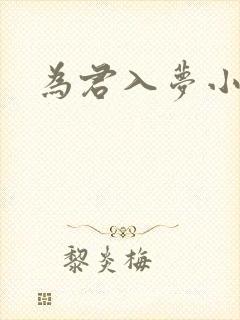 为君入梦小说